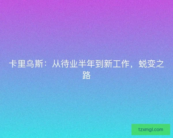 卡里乌斯：从待业半年到新工作，蜕变之路