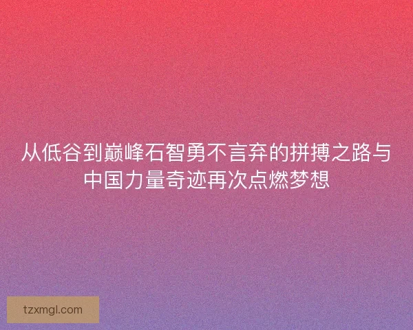 从低谷到巅峰石智勇不言弃的拼搏之路与中国力量奇迹再次点燃梦想