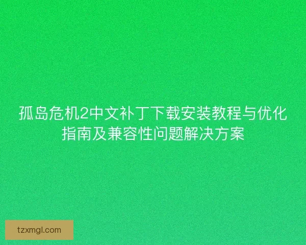孤岛危机2中文补丁下载安装教程与优化指南及兼容性问题解决方案