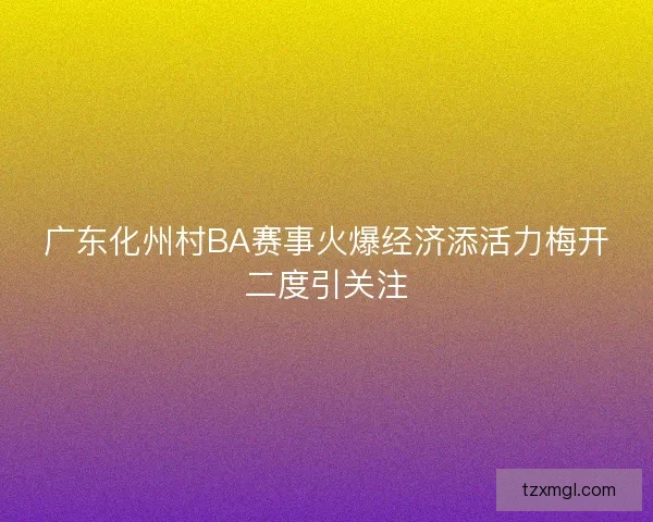 广东化州村BA赛事火爆经济添活力梅开二度引关注